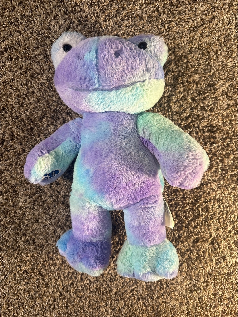 Build-A-Bear Hoppy Swirls Frog Tie-Dye Blue Purple Green Plush 16”